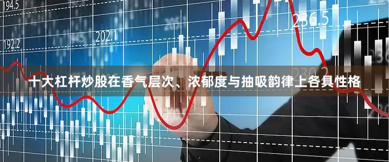 十大杠杆炒股在香气层次、浓郁度与抽吸韵律上各具性格