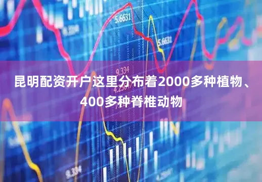 昆明配资开户这里分布着2000多种植物、400多种脊椎动物