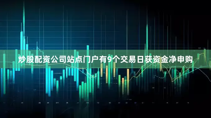 炒股配资公司站点门户有9个交易日获资金净申购