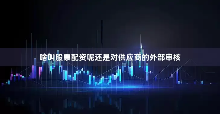 啥叫股票配资呢还是对供应商的外部审核