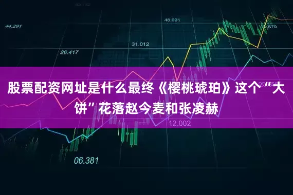 股票配资网址是什么最终《樱桃琥珀》这个“大饼”花落赵今麦和张凌赫