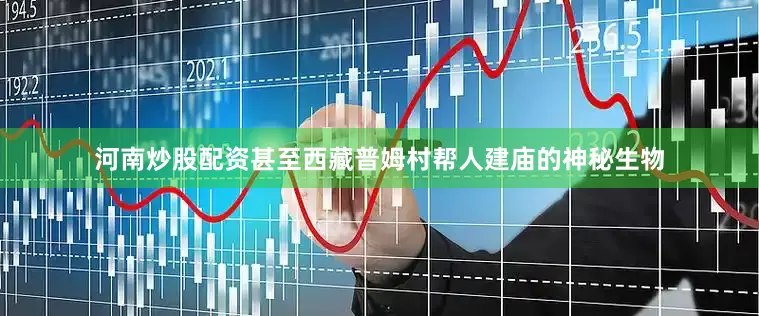 河南炒股配资甚至西藏普姆村帮人建庙的神秘生物