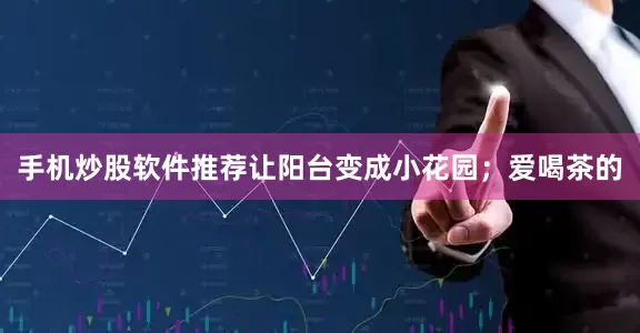 手机炒股软件推荐让阳台变成小花园；爱喝茶的