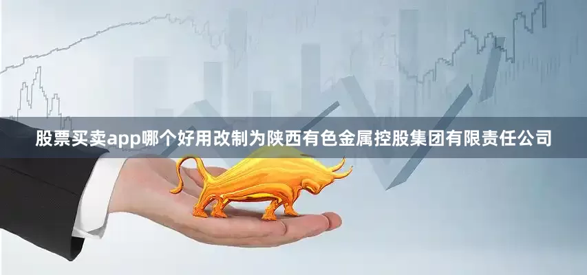 股票买卖app哪个好用改制为陕西有色金属控股集团有限责任公司