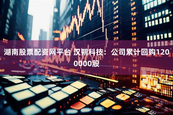 湖南股票配资网平台 汉朔科技：公司累计回购1200000股